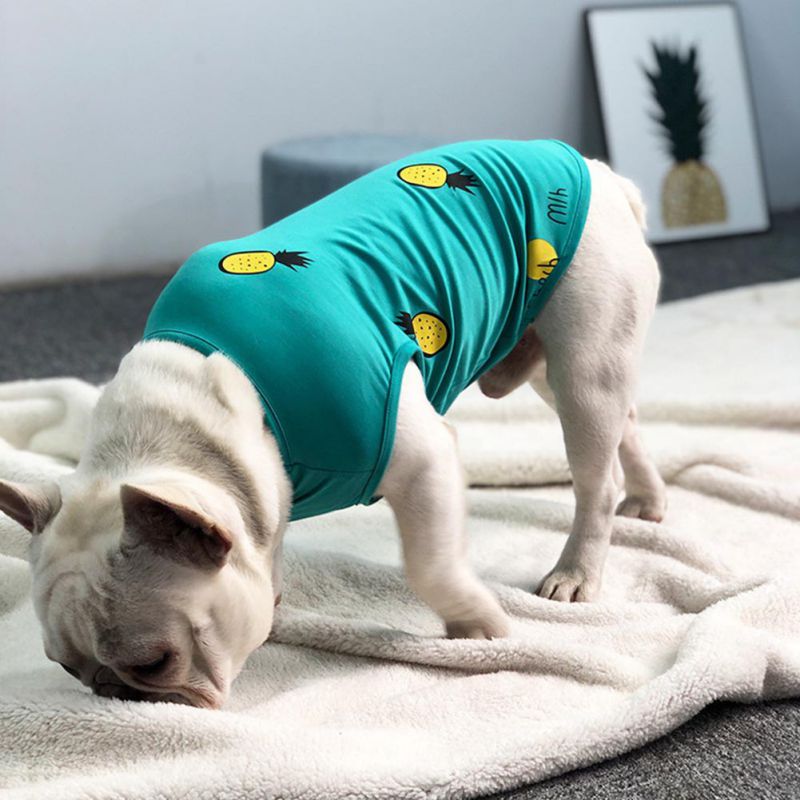 Pineapple Dog Stretch Vest For French Bulldog - ohpineapple